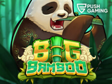 Play big fish casino46